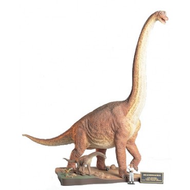 Dinosauro Brachiosauro Diorama 1:35