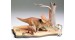 Dinosauro Chasmosauro Diorama 1:35 