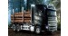 Volvo FH16 6x4 Timber Truck RC 1:14